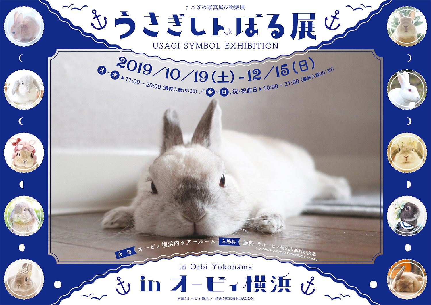 モフモフで可愛い うさぎまみれ 秋の うさぎしんぼる展 が 初の横浜開催 大型フォトスポットも登場 株式会社bacon