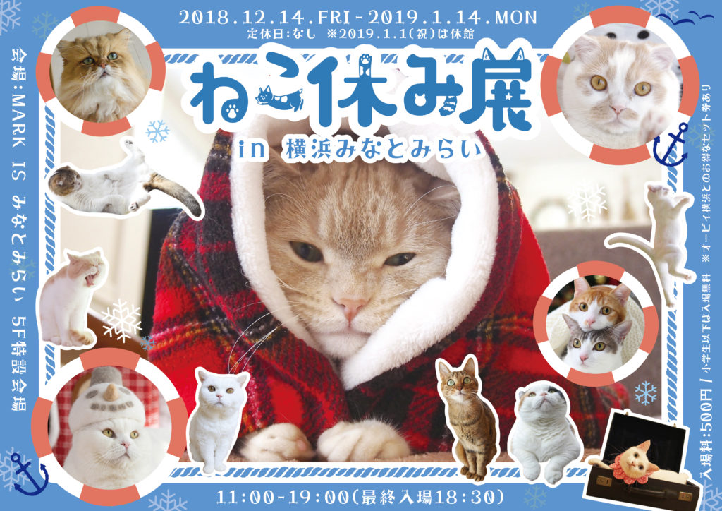 サンタ姿の猫たち集合！ 「ねこ休み展」1年ぶり横浜で開催 X'masから