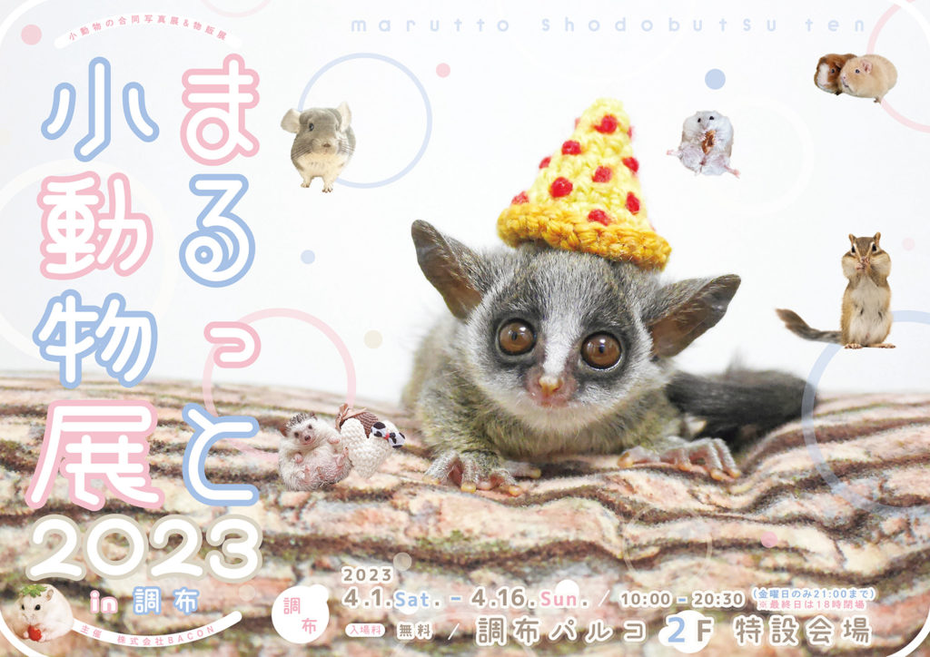 星街すいせい×カナヘイの小動物 コラボ おでかけパーカー[新品][未使用